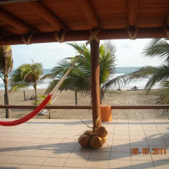 Отель Bungalows Tree Tops 5* Люкс с различными типами кроватей фото 7