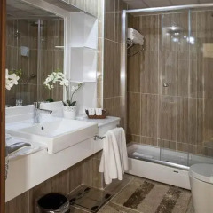 Hotel Büyük Sahinler 4* Номер категории Эконом с различными типами кроватей фото 17
