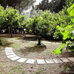 Отель Casa Vacanze Medea Сиракуза фото 7