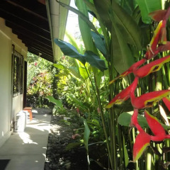 Отель Cabinas Tropicales Puerto Jimenez 3* Номер категории Эконом фото 10
