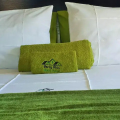 Отель Berry Bliss Guest House 4* Номер Делюкс фото 11