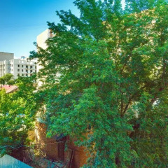Гостиница Apartament Volga River в Саратове отзывы, цены и фото номеров - забронировать гостиницу Apartament Volga River онлайн Саратов фото 2