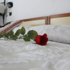 Hotel Quisisana Riccione 2* Стандартный номер с различными типами кроватей фото 12