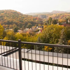 Отель Calimbra Wellness and Conference Hotel Венгрия, Силвашварад - отзывы, цены и фото номеров - забронировать отель Calimbra Wellness and Conference Hotel онлайн балкон