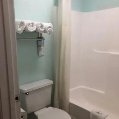 Отель Quality Inn Sarasota North 2* Стандартный номер с различными типами кроватей фото 5