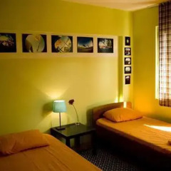 Stray Cat Hostel Кровать в общем номере двухъярусные кровати фото 7