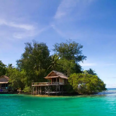 Oravae Island Cottages in Kukundu, Solomon Islands from 297$, photos, reviews - zenhotels.com beach photo 2