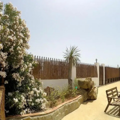 Отель Finca Andalucia Испания, Кониль-де-ла-Фронтера - отзывы, цены и фото номеров - забронировать отель Finca Andalucia онлайн фото 8