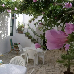 Отель B&B A Palazzo Гальяно дель Капо фото 2
