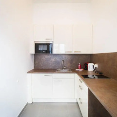 Апартаменты Vienna Stay Apartments Tabor 1020 Вена в номере
