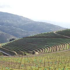 Hotel Rural Douro Scala 4* Стандартный номер разные типы кроватей фото 5