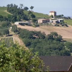 Отель Agriturismo Villa Ti AMo Сан-Джинезио фото 5