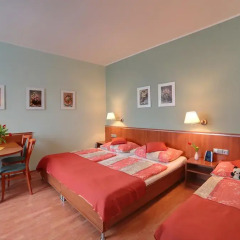 Отель Penzion Fan 3* Студия с различными типами кроватей фото 10