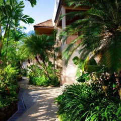 Отель Coconut Village Resort фото 9
