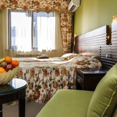 Отель Bansko Spa And Holidays Банско в номере фото 2