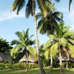 Отель Sofitel Moorea la Ora Beach Resort 5* Бунгало Luxury с различными типами кроватей фото 4
