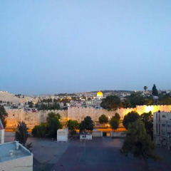 Holy Land Hotel Израиль, Иерусалим - 1 отзыв об отеле, цены и фото номеров - забронировать отель Holy Land Hotel онлайн фото 3