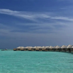 Отель Cocoon Maldives фото 2