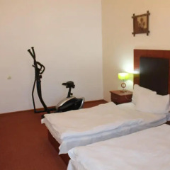 Diligence Hotel 3* Номер Комфорт с различными типами кроватей фото 5