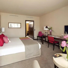 Отель Hyatt Regency Nice Palais De La Mediterranee 5* Стандартный номер фото 3
