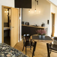 Апартаменты Antique Apartments - Plac Szczepanski Студия с различными типами кроватей фото 29