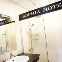 Sophia Hotel 3* Улучшенный номер с различными типами кроватей фото 23