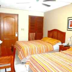 Отель The Green Frog Inn B&B 3* Номер категории Эконом с различными типами кроватей фото 5