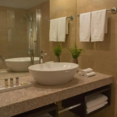 Imperial Riding School Renaissance Vienna Hotel 4* Стандартный номер с различными типами кроватей фото 4