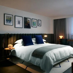 Отель Kimpton De Witt Amsterdam 4* Стандартный номер с различными типами кроватей фото 4