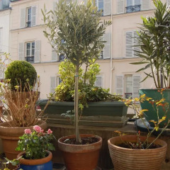 Отель Les Toits de Montmartre фото 6