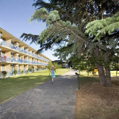 Отель Continental Park Hotel Болгария, Солнечный берег - 1 отзыв об отеле, цены и фото номеров - забронировать отель Continental Park Hotel онлайн развлечения