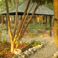 Отель Maruni Sanctuary by KGH Group Непал, Саураха - отзывы, цены и фото номеров - забронировать отель Maruni Sanctuary by KGH Group онлайн детские мероприятия фото 2
