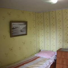 Гостиница Villa Svetlana Номер Эконом разные типы кроватей фото 5