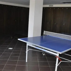 Отель Alpine Lodge Hotel Болгария, Банско - отзывы, цены и фото номеров - забронировать отель Alpine Lodge Hotel онлайн детские мероприятия