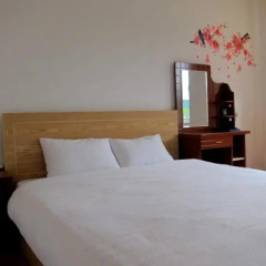 Отель Villa An Nhien Homestay Далат комната для гостей фото 4