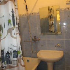 Отель Otel Issyk-Kul-Karakol Кыргызстан, Каракол - отзывы, цены и фото номеров - забронировать отель Otel Issyk-Kul-Karakol онлайн ванная фото 2