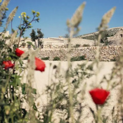 Отель Agriturismo Asfodelo Альтамура фото 2
