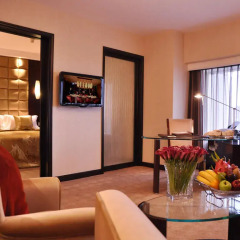 Shanghai Grand Trustel Purple Mountain Hotel 5* Представительский люкс с различными типами кроватей фото 6