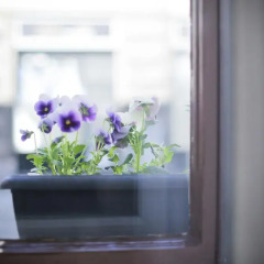 Отель Bed & Breakfast 4citywindows гостиничный бар