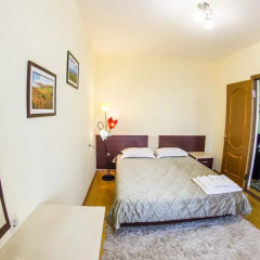 Гостиница Kamchatka Guest House Люкс с разными типами кроватей фото 8