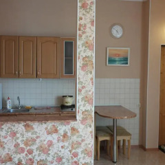 Гостиница Svetlana Apartments U Morya в Сочи отзывы, цены и фото номеров - забронировать гостиницу Svetlana Apartments U Morya онлайн в номере фото 2