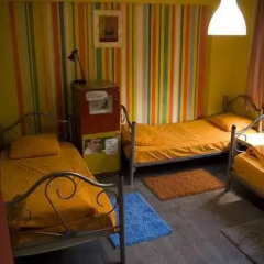 Stray Cat Hostel Кровать в женском общем номере двухъярусные кровати фото 5