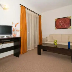 Spa Hotel Planinata комната для гостей фото 5