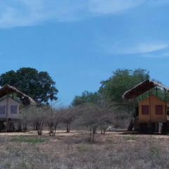 Отель Yala Dream Park Шри-Ланка, Тиссамахарама - отзывы, цены и фото номеров - забронировать отель Yala Dream Park онлайн парковка