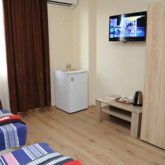 Отель Homestay Goranoff Болгария, Плевен - отзывы, цены и фото номеров - забронировать отель Homestay Goranoff онлайн удобства в номере фото 2