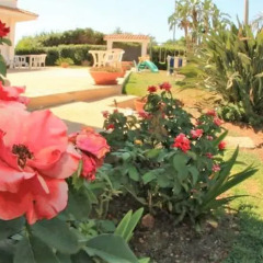 Отель Villa Trinacria Италия, Сиракуза - отзывы, цены и фото номеров - забронировать отель Villa Trinacria онлайн
