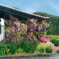 Отель Quinta de Milhafres