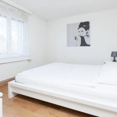 Апартаменты Apartments Swiss Star Ämtlerstrasse Цюрих комната для гостей фото 3