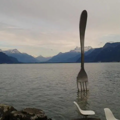 Отель Astra Hotel Vevey Швейцария, Вевей - отзывы, цены и фото номеров - забронировать отель Astra Hotel Vevey онлайн приотельная территория