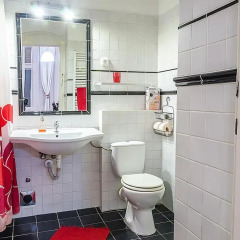 Апартаменты Black & White Apartment Будапешт ванная